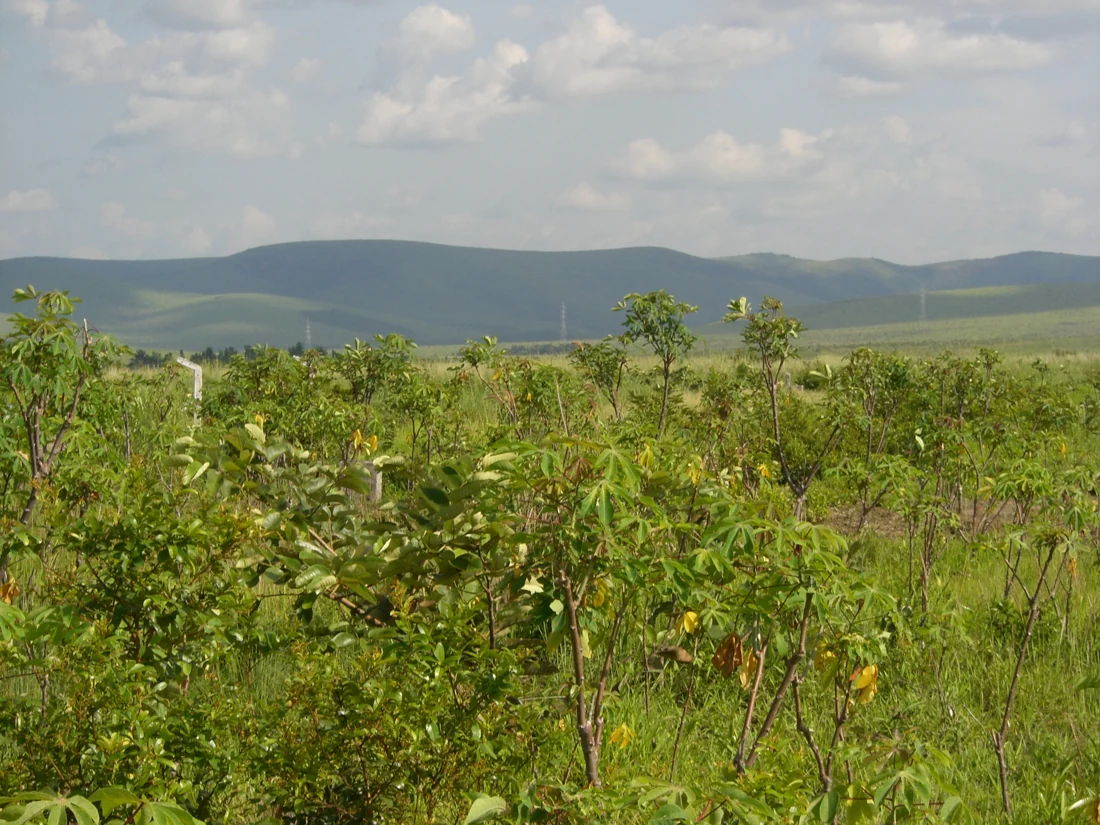 Paysage de végétation et collines à Nsele.